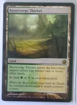 Razorverge Thicket - MTG - Scars of Mirrodin - NM - Image 1