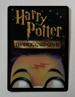 Harry Potter Trading Card Madam Rolanda Hooch #13/80 Rare WOTC TCG LP - Image 2