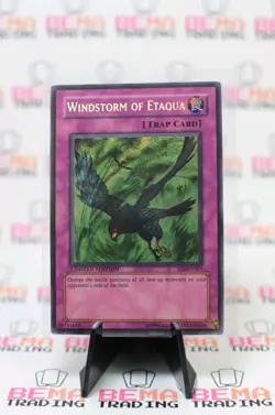 Windstorm of Etaqua SOI-ENSE3 Shadow of Infinity-Limited Edition Limited Edition - Image 1