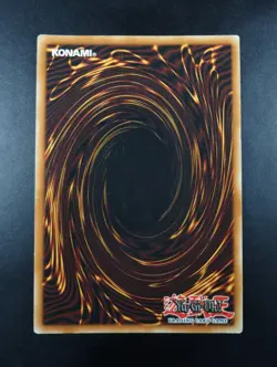YUGIOH 2005 | TERRORKING ARCHFIEND | DR1-DE234 | 1ST GERMAN PRINT | VG (PLAYED) - Image 2