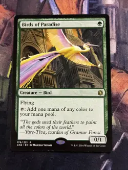 Birds of Paradise Conspiracy: Take the Crown Regular - Image 1