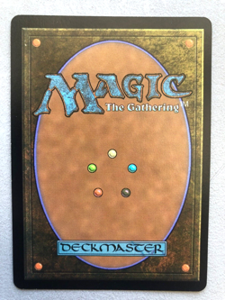 Mtg Carte Magic Forgotten Realms D&D Tiamat Borderless FOIL English NM - Image 2