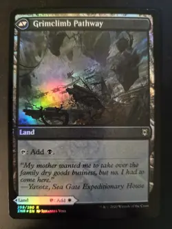 Brightclimb Pathway NM FOIL Zendikar Rising MTG FREE SHIPPING - Image 2