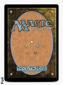 Haliya, Guided by Light (FOIL) - [Edge of Eternities] MTG Magic NM/M ⚪ - Image 2