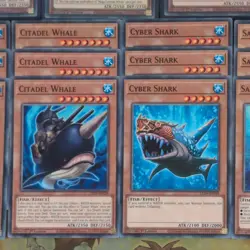 3 x LED9-EN016 Mega Fortress Whale Ultra + 18cd Cmn Fish/Shark Core Mint YuGiOh - Image 4