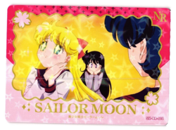 SAILOR MOON NR SM-SR-014 Sailor Moon Anime Collectible Card - Image 1