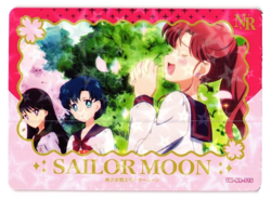 SAILOR MOON NR SM-SR-016 Sailor Moon Anime Collectible Card - Image 1