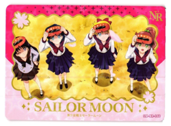 SAILOR MOON NR SM-SR-040 Sailor Moon Anime Collectible Card - Image 1