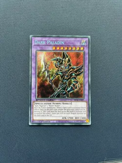 YUGIOH DARK PALADIN 1ST EDITION SECRET RARE SBCB-EN021 - NEAR MINT - Image 1