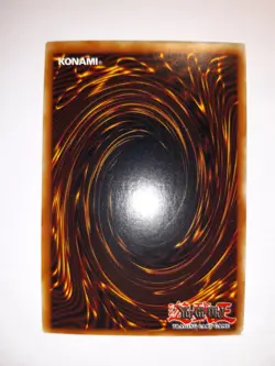 Yugioh - Gora Turtle- PGD-014 - Rare - 1.Edition - Top Zustand - Image 2