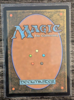 MTG: Savai Triome (Ikoria: Lair of Behemoths)(SHOWCASE RARE) - Image 2
