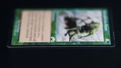 Survival of the Fittest Magic Card Exodus MTG Reserved List - Image 4