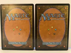 x2 NM Collective Resistance Modern Horizons 3 Regular MTG - Image 2