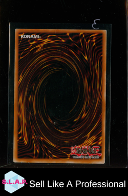ELEMENTARHELD WILD WINGMAN YU-GI-OH EOJ-DE035 1ST EDITION ULTIMATE RARE 2006 GER - Image 2