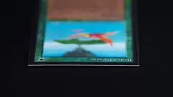 Birds of Paradise Magic Card International Collectors' Edition ICE MTG - Image 4