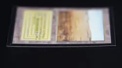 Savannah Magic Card International Collectors' Edition ICE MTG - Image 4