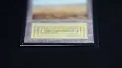 Savannah Magic Card International Collectors' Edition ICE MTG - Image 5