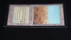 Scrubland Magic Card International Collectors' Edition ICE MTG - Image 4