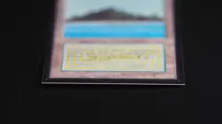 Tropical Island Magic Card International Collectors' Edition ICE MTG - Image 5