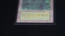 Bayou Magic Card International Collectors' Edition ICE MTG - Image 5