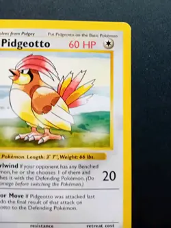 Pokemon Cards: Base Set 1st Edition Rare: Pidgeotto 22/102 - Image 4