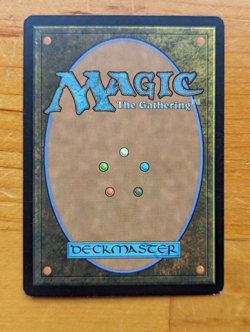MTG Time Spiral and Timeshifted Complete Set, great condition, many foils - Image 4