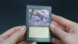 Guardian Beast MTG Card Arabian Nights Magic: the Gathering 1993 - Image 2