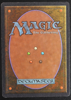 Ali from Cairo MTG Card Arabian Nights Magic: the Gathering 1993 - Image 3
