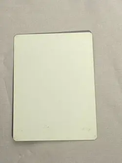 MTG Scandalmonger Artist Proof and Signature Signed Cavotta - Image 2