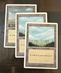 Magic The Gathering White Border Land Lot - Image 4