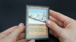 Taiga Magic Card International Collectors' Edition ICE MTG - Image 2