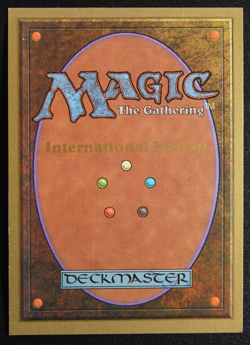 Taiga Magic Card International Collectors' Edition ICE MTG - Image 3