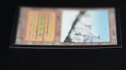 Taiga Magic Card International Collectors' Edition ICE MTG - Image 4