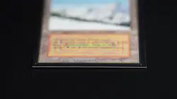 Taiga Magic Card International Collectors' Edition ICE MTG - Image 5