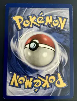 Pokemon Mewtwo Black Star Promo #14 Non-Holo Rare Card WOTC 1999 Vintage - Image 2