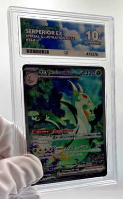 Pokemon Cards - ACE 10 Serperior Ex 164 - Blackbolt SIR - PSA BGS CGC - Image 3