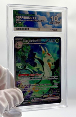 Pokemon Cards - ACE 10 Serperior Ex 164 - Blackbolt SIR - PSA BGS CGC - Image 4