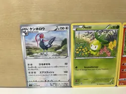 Pokemon cards: Naoyo Kimura art set of 5, Japanese and English commons - Image 2