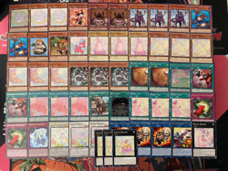 YUGIOH - MELFFY BEAST DECK - JOYOUS, MOMMY, SUPER NIMBLE MEGA HAMSTER, PINNY ~ - Image 1