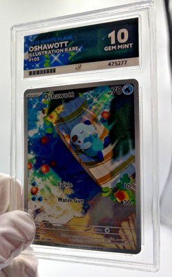 Pokemon Cards - ACE 10 Oshawott 105/086 - White Flare IR - PSA BGS CGC - Image 5