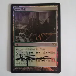 Magic The Gathering - 1x Signed Foil Wooded Bastion (mtg) Chinese Shadowmoor - Image 1