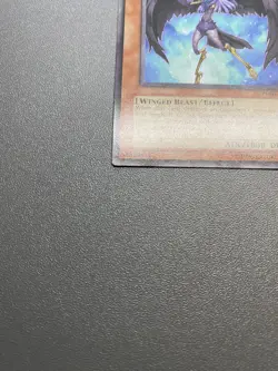 Yu-Gi-Oh! Blackwing - Shuta The Blue Flame Common Unlimited RGBT-EN011 MP - Image 3