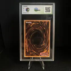 Yu-Gi-Oh! Homme-Oiseau de Feu - Heros Elementaire DP1-FR010 - GRAAD 7,5 - Image 5