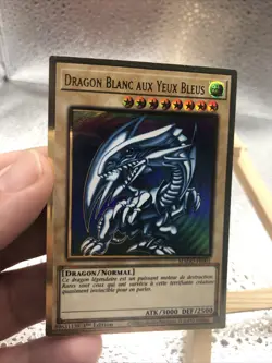 carte YU-GI-OH MAGO-FR001 Dragon Blanc Aux Yeux Bleus Gold Rare NEUF FR - Image 4