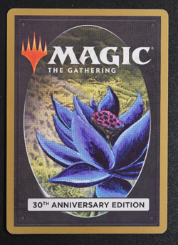 Armageddon Magic Card Magic 30th Anniversary Edition MTG - Image 3