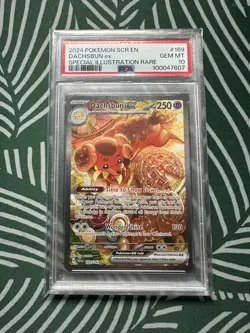 Dachsbun Ex 2024 Pokemon Stellar Crown #169 Special Illustration Rare - PSA 10 - Image 1