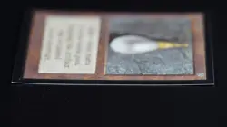 Mox Pearl Magic Card International Collectors' Edition ICE MTG - Image 4