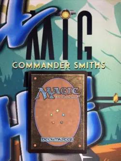 1x 😻 🐶 Nine Lives ✨ Borderless FOIL ✨ Secret Lair MTG NM 795 Cats & Dogs - Image 2