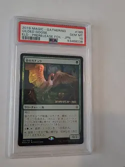 PSA 10 magic the gathering, Gilded Goose, FOIL, #160, 2019 Japan - Image 5