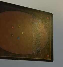 Old Man of the Sea HP Arabian Nights MTG Magic the Gathering - Image 5